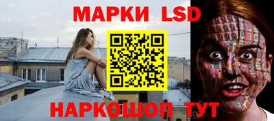 гидра Кингисепп