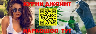 гидра Кингисепп