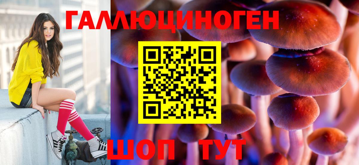 Галлюциногенные грибы мицелий  Вход с VPN  Усть-Кут 